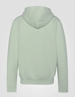 Sweatshirt zippé sage pastel à capuche en molleton épais - SAGE PASTEL